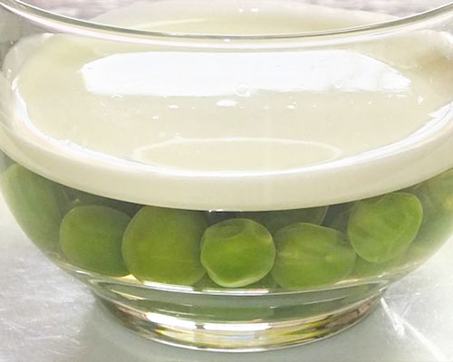 グリンピースの白醤油漬けと豆ゼリー
